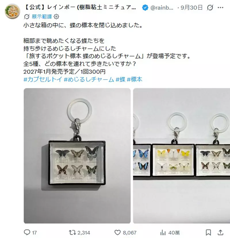 圖片3 圖片3