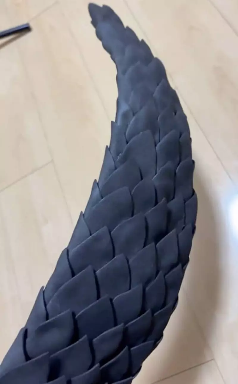 圖片4 圖片4