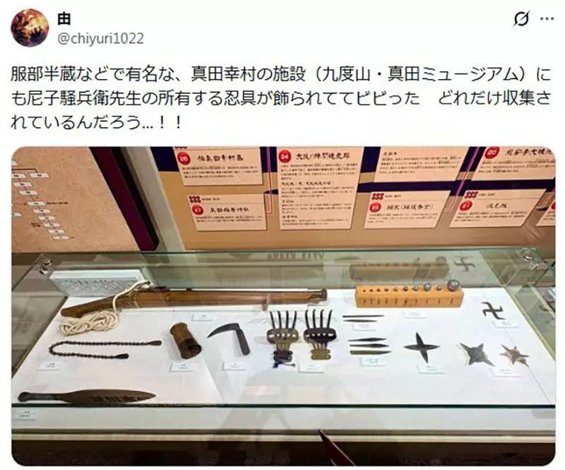 圖片15 圖片15