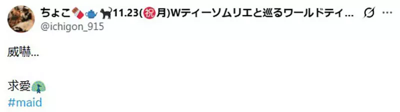 圖片16