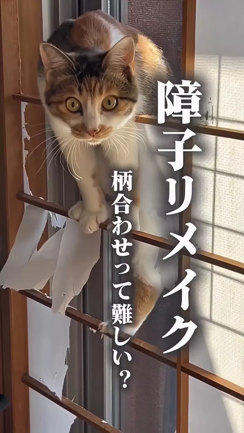 圖片3 圖片3