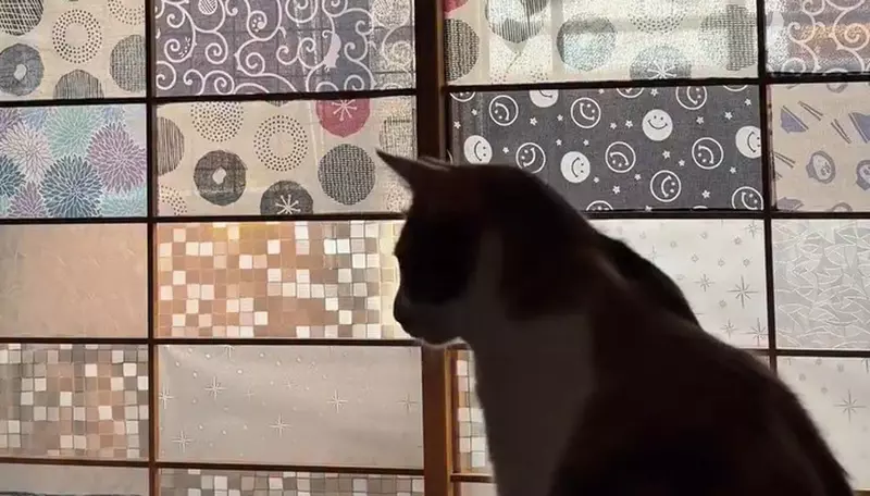 圖片1 圖片1