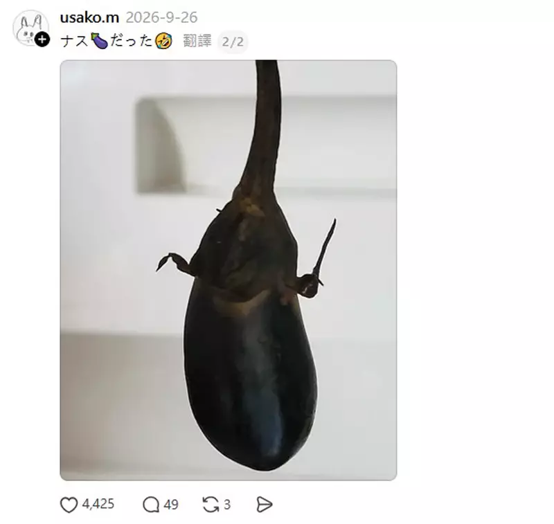圖片6 圖片6