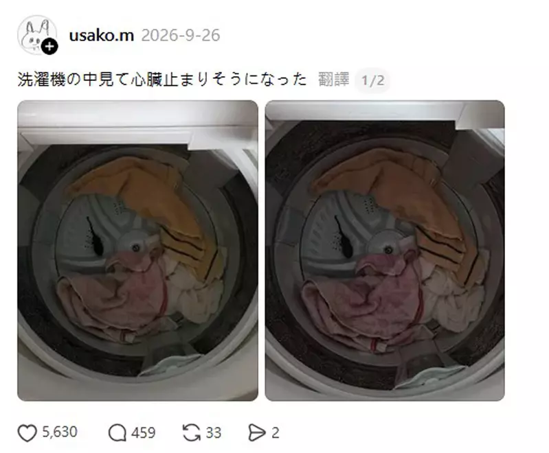 圖片3 圖片3