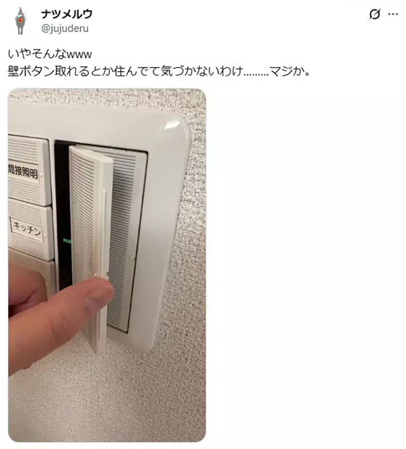 圖片8