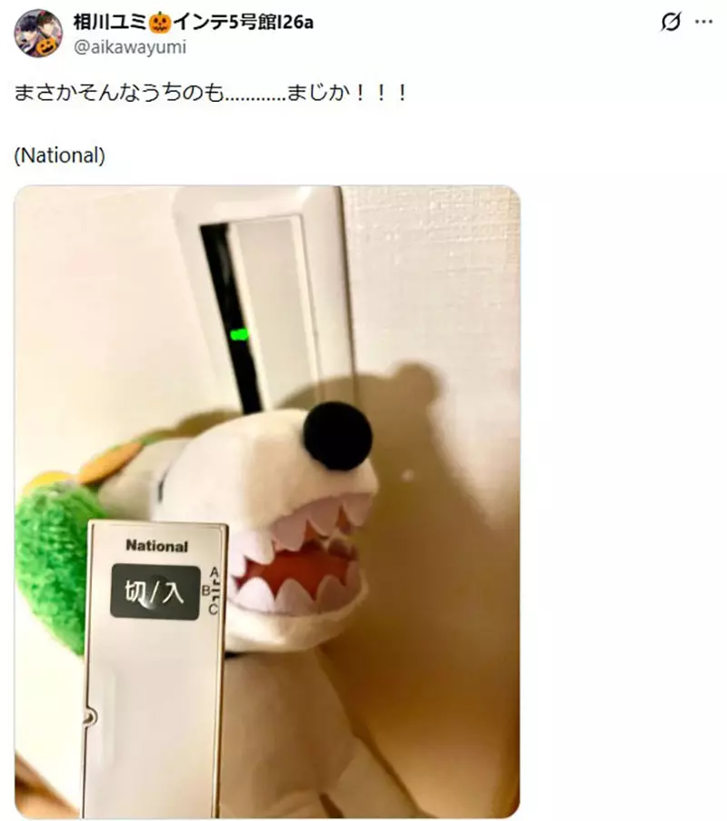 圖片12