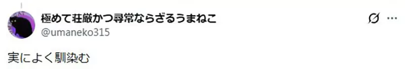 圖片16
