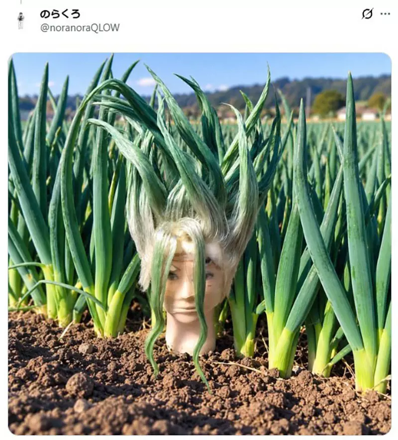 圖片17 圖片17