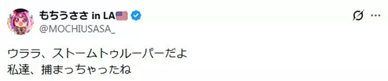 圖片13 圖片13