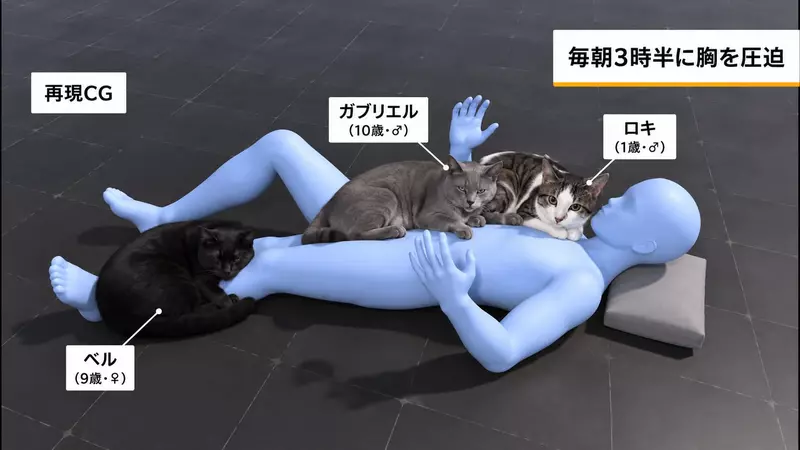 圖片1 圖片1