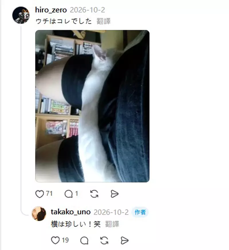 圖片6 圖片6