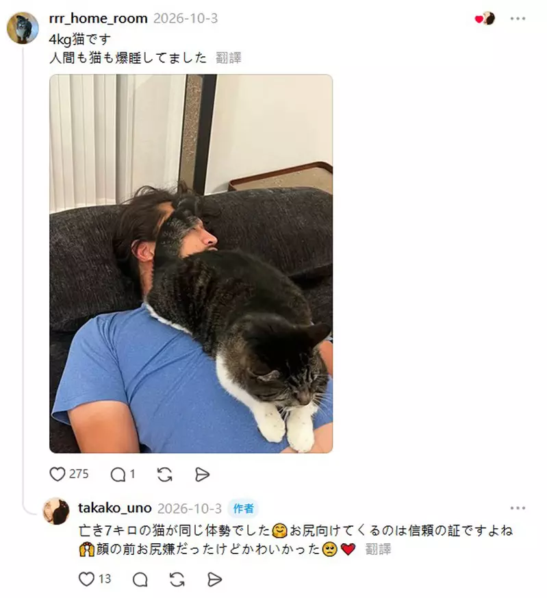 圖片7 圖片7