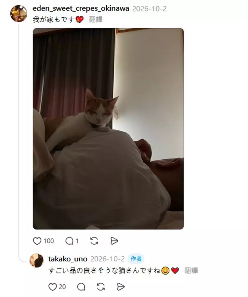 圖片8 圖片8