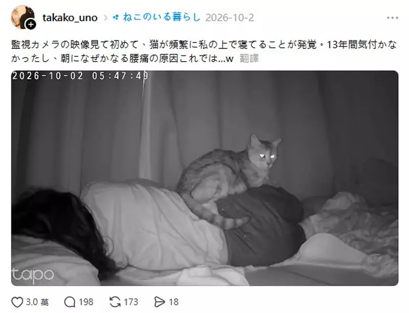 圖片4 圖片4