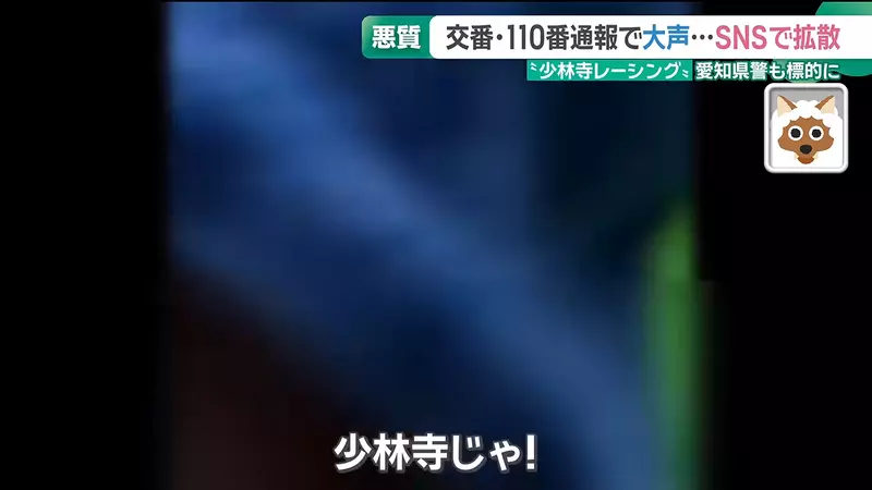 圖片7