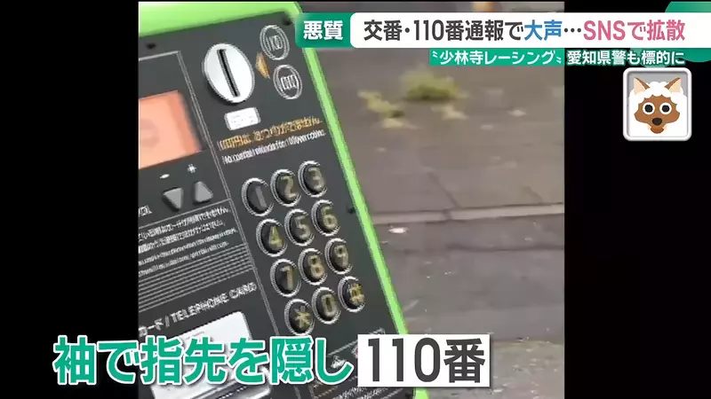 圖片6
