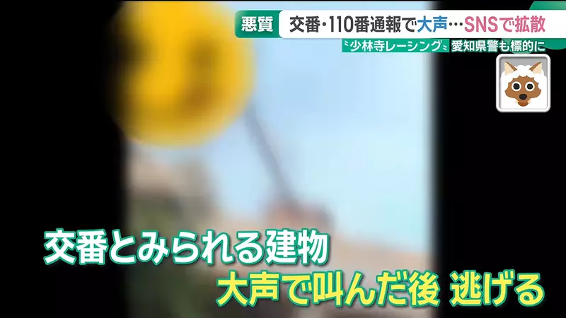 圖片4