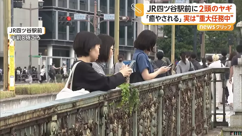 圖片3 圖片3