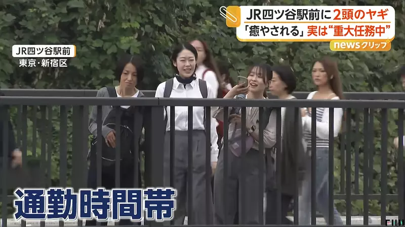 圖片4 圖片4