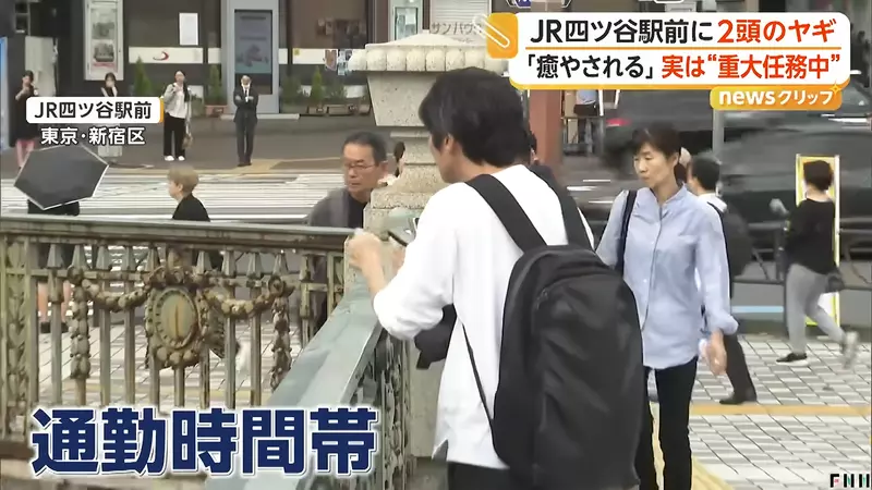 圖片5 圖片5
