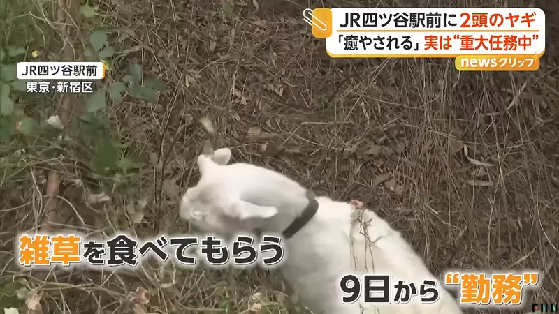 圖片13 圖片13