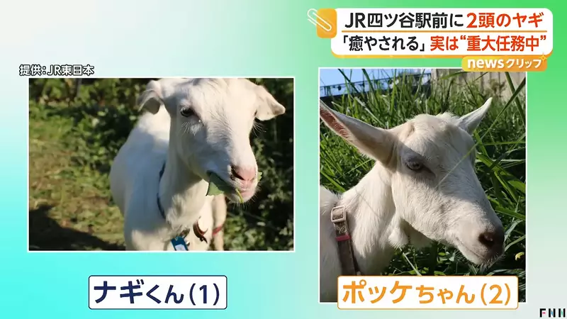 圖片12 圖片12
