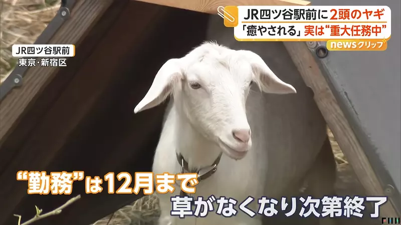 圖片1 圖片1