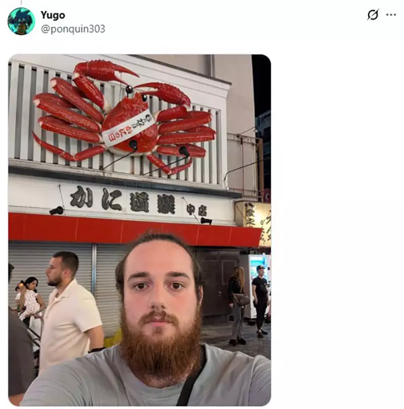 圖片15