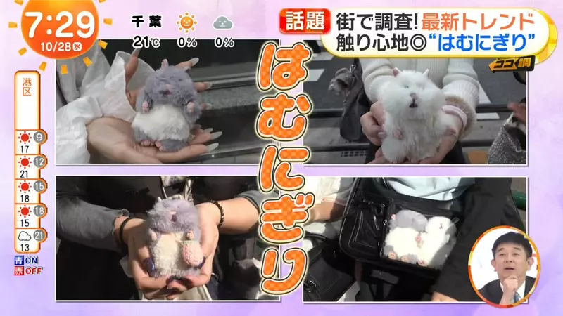 圖片5