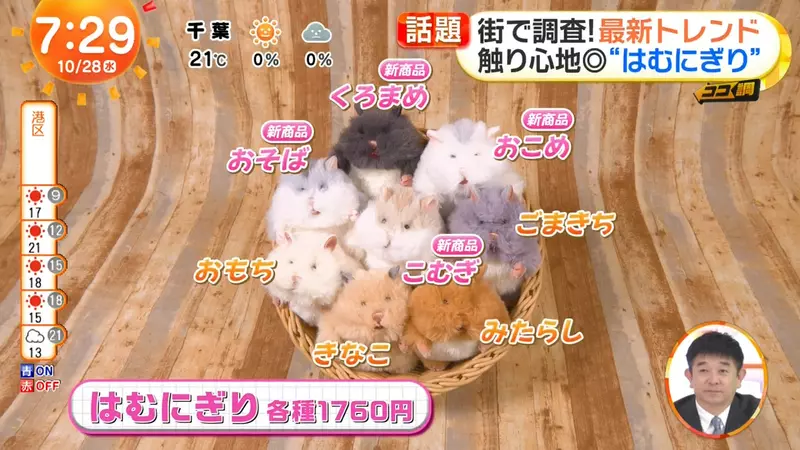 圖片6