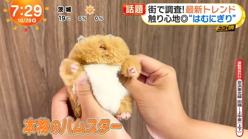 圖片1