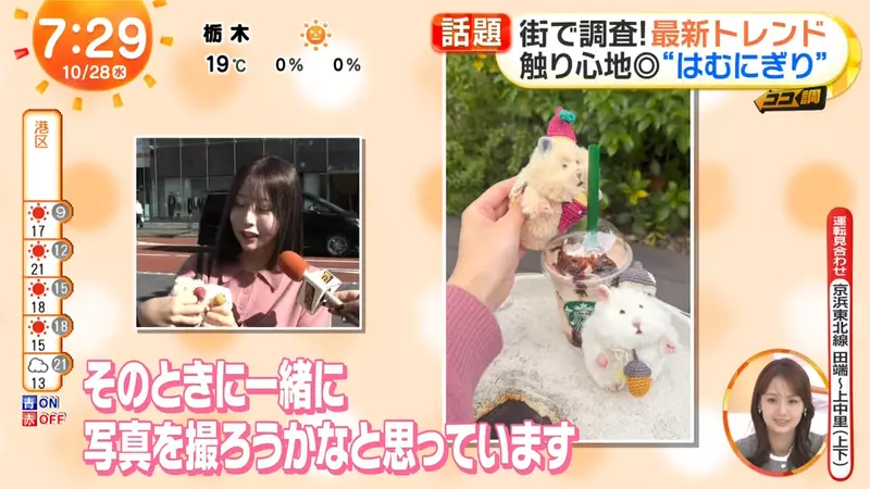 圖片15