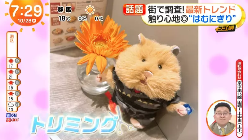 圖片12
