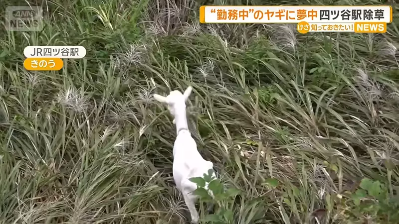 圖片4 圖片4