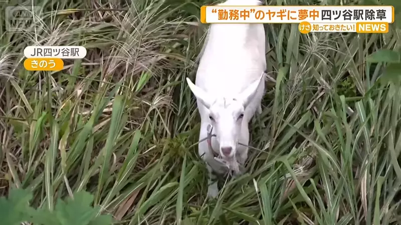 圖片5 圖片5