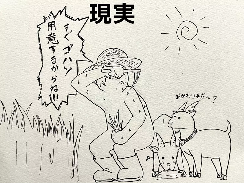 圖片8 圖片8