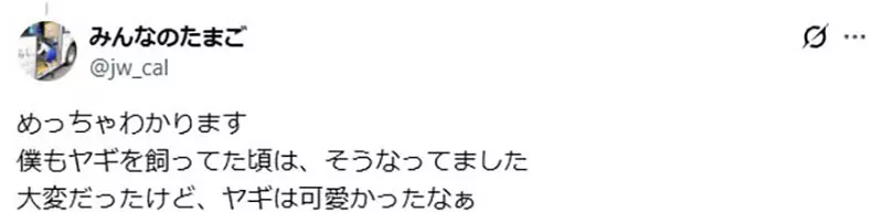 圖片13 圖片13