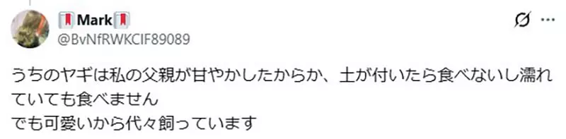 圖片16 圖片16