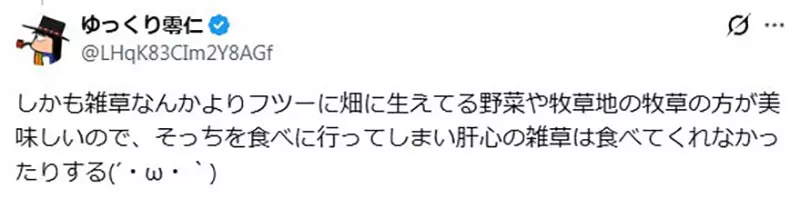圖片18 圖片18