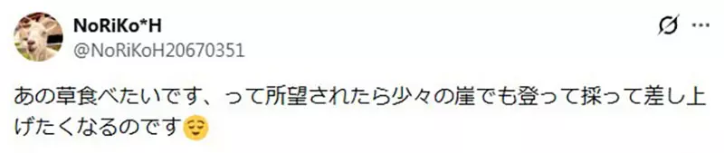 圖片19 圖片19
