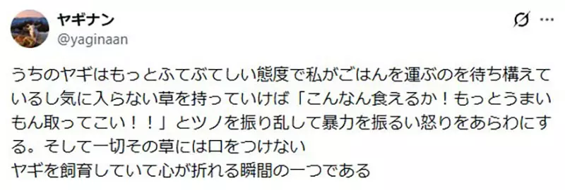 圖片14 圖片14