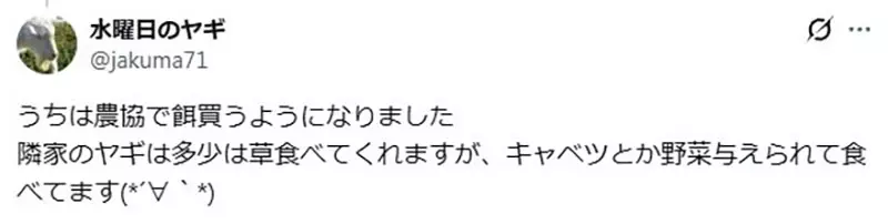 圖片17 圖片17