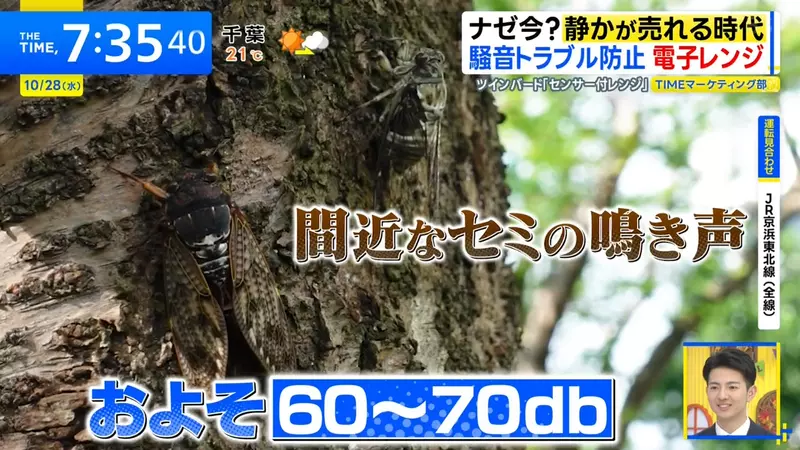 圖片25